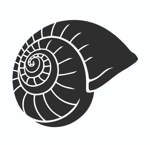 Ibiza Style Sunglasses